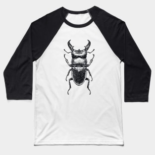 Stag Beetle drawing Baseball T-Shirt